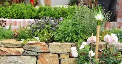 tonte de pelouse Trangé-5