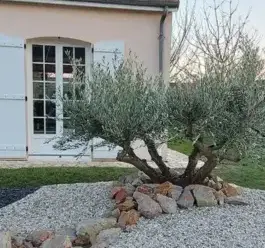 tonte Oucques La Nouvelle-2